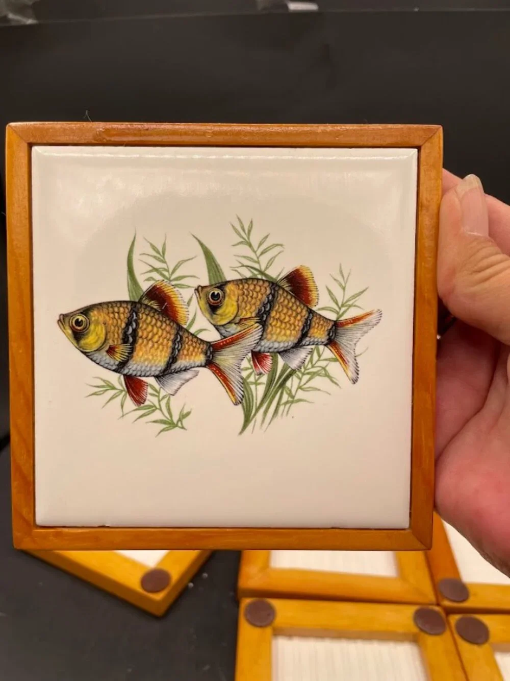 Set Of 6 Ceramic Tiles Wood Frame Tropical Fish Decals Coasters Trivets Aquatic